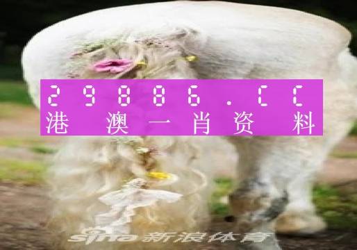 新闻 第754页