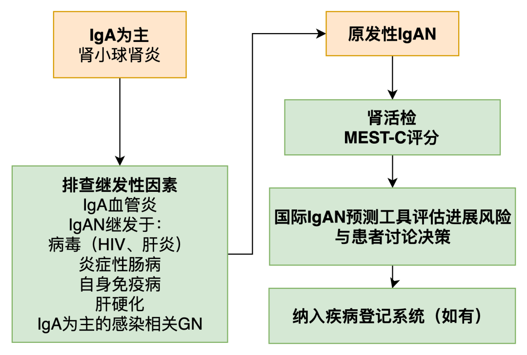 IGA肾炎最新药物研究进展