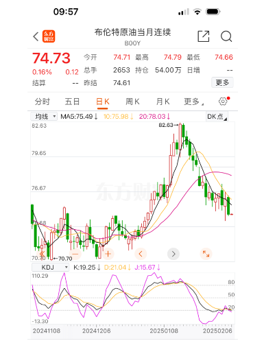 布伦油最新动态与市场分析