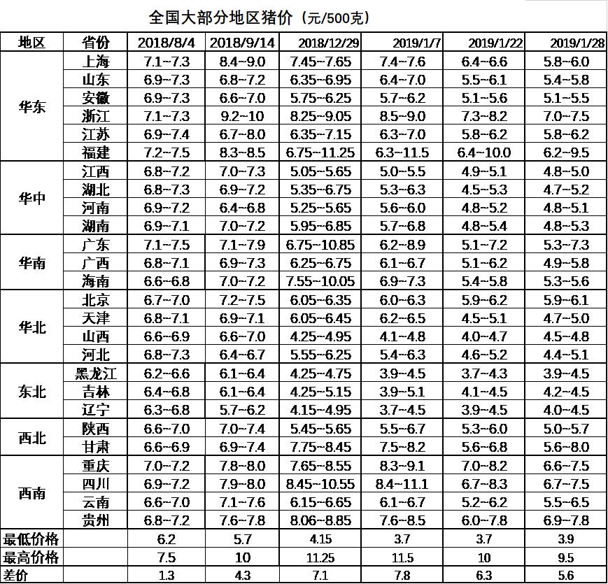 最新14天口子，深度解析与市场动态