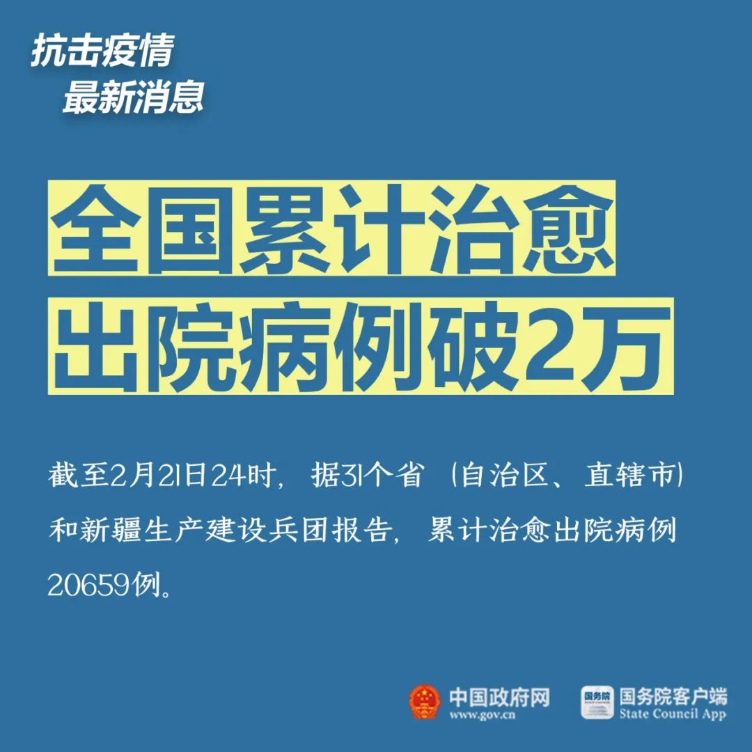 疫情最新发言，全球防控策略与挑战