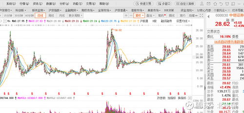 新光股票最新信息，市场动态与投资分析