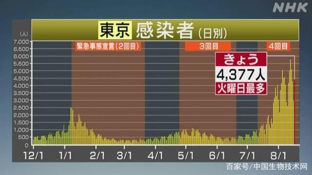 肺炎最新通报，日本疫情动态及应对策略