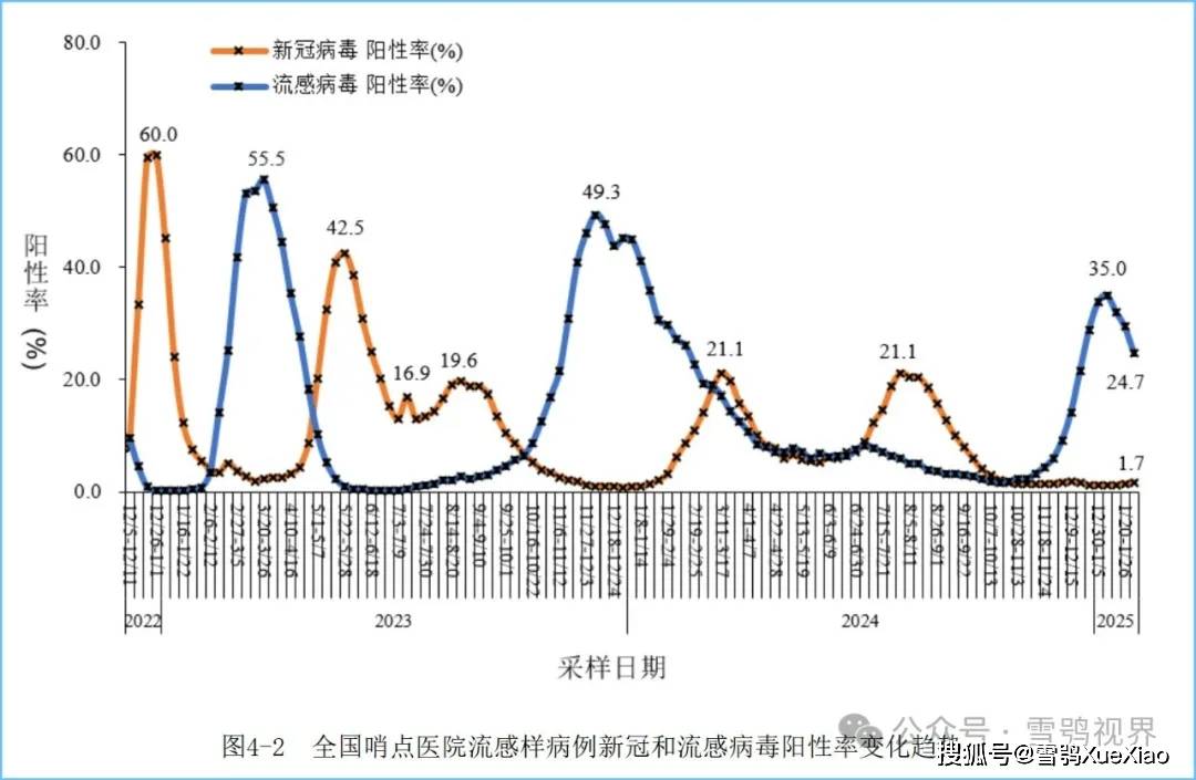 中国疫情最新动态，全面解析与展望