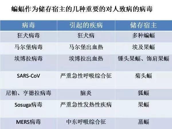 揭秘海鲜最新病毒，从源头到防控的全面解析